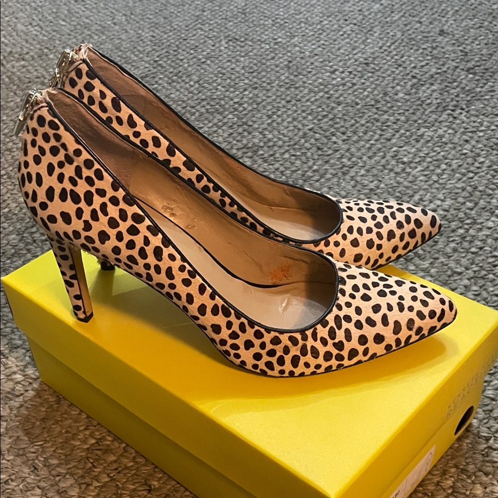 Leopard Print Pointed Toe Pumps in Tan and Black